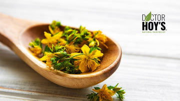 What is St. John’s Wort? Topical Uses & More by Doctor Hoy's