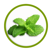 Encapsulated Menthol in leaf form, Pain Reliever/Anti-Inflammatory