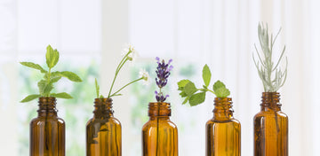 Doctor Hoy's Blog: Are Essentials Oils Really Worth It?