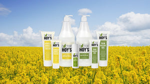 Shop All Doctor Hoy's Pain Relief Products, Pain Relief Gel & Arnica Boost, in Field of Flowers