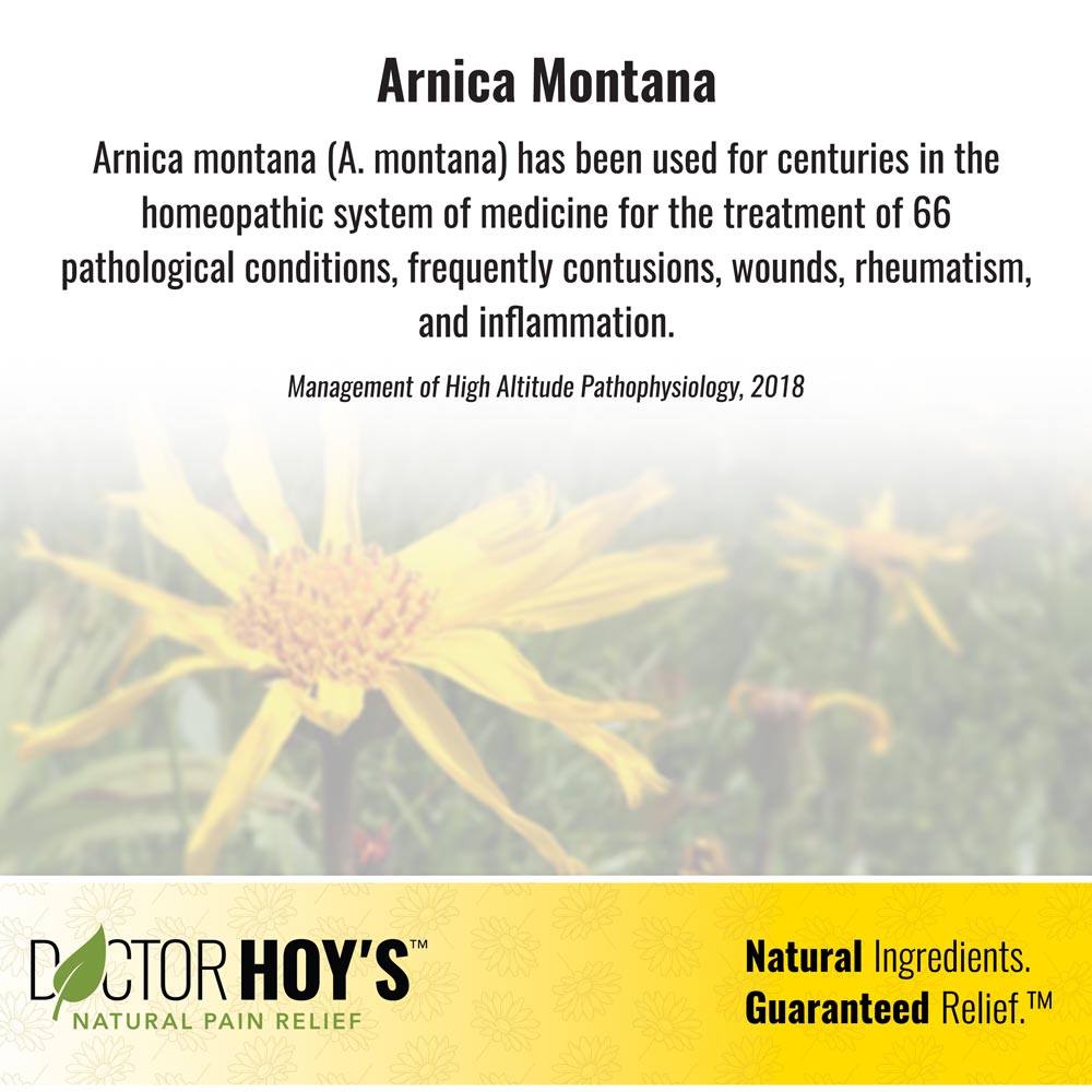 Arnica montana (A. montana) has been used for centuries in the homeopathic system of medicine for the treatment of 66 pathological conditions, frequently contusions, wounds, rheumatism, and inflammation - Management of High Altitude Pathophysiology, 2018